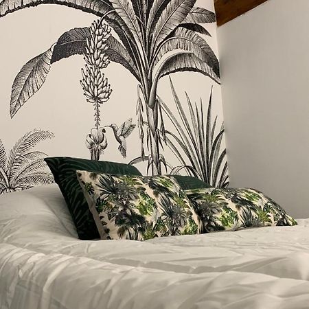 Appartement Cosy Centre Historique Avignon Ngoại thất bức ảnh