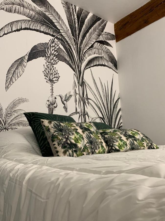 Appartement Cosy Centre Historique Avignon Ngoại thất bức ảnh